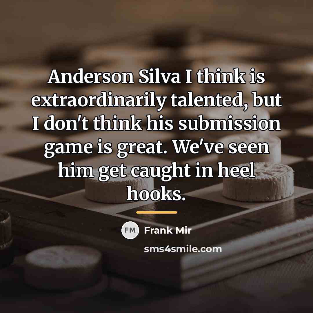 “Anderson Silva I think is extraordinarily talented, but I don't…” quote by Frank Mir