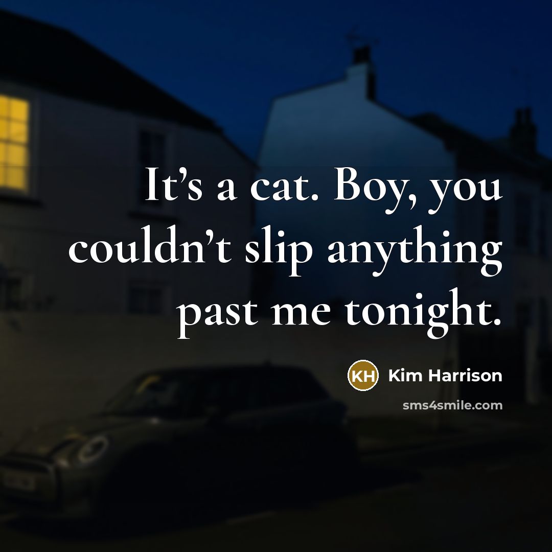 “It’s a cat. Boy, you couldn’t slip anything past me…” quote by Kim Harrison
