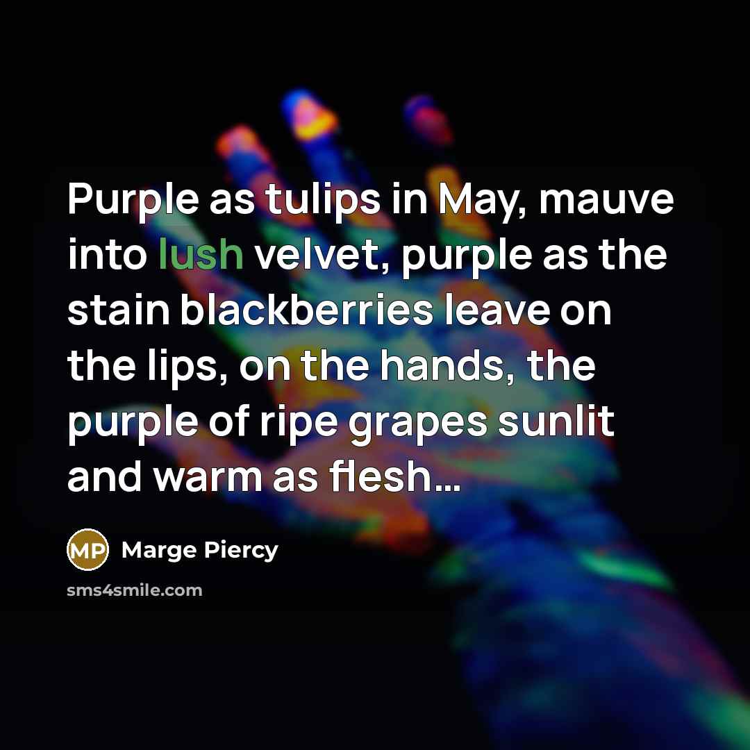 “Purple as tulips in May, mauve into lush velvet, purple…” quote by Marge Piercy