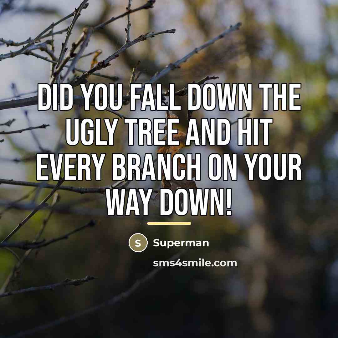 “Did you fall down the ugly tree and hit every…” quote by Superman