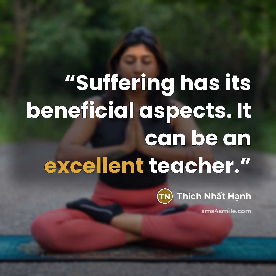 “Suffering has its beneficial aspects. It can be an excellent teacher.” quote by Thich Nhat Hanh