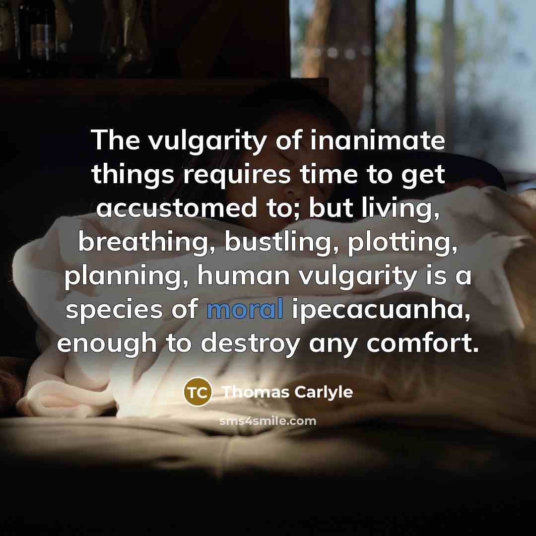 “The vulgarity of inanimate things requires time to get accustomed…” quote by Thomas Carlyle