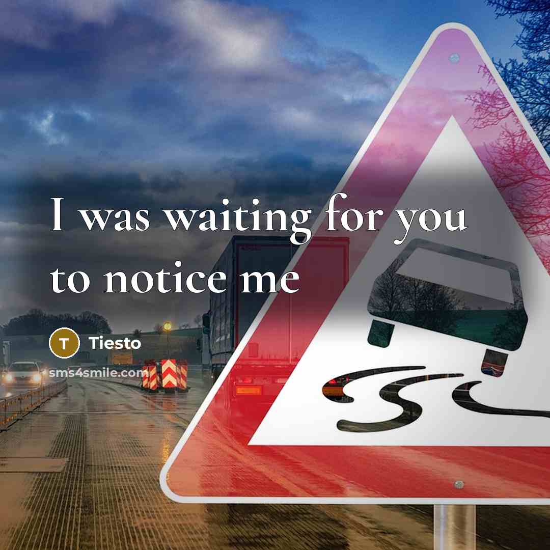 “I was waiting for you to notice me…” quote by Tiesto
