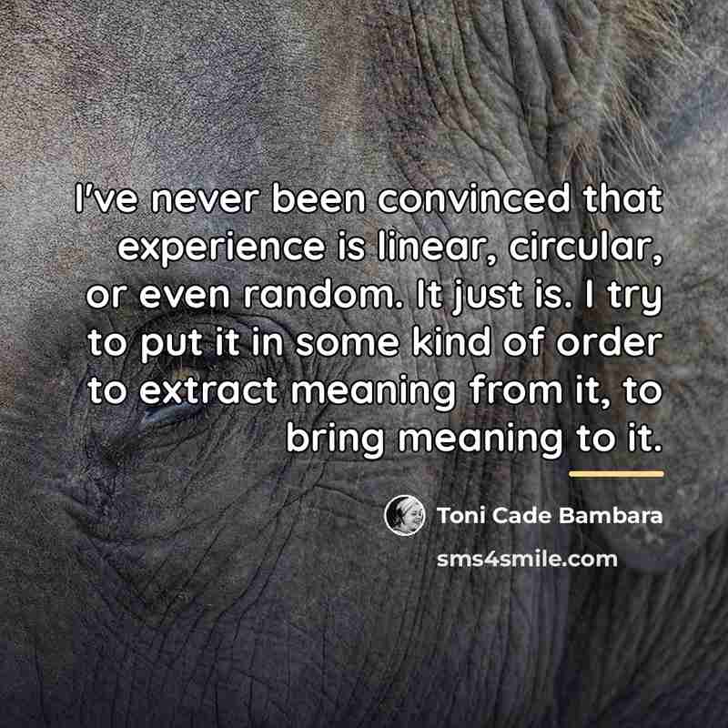 “I've never been convinced that experience is linear, circular, or…” quote by Toni Cade Bambara