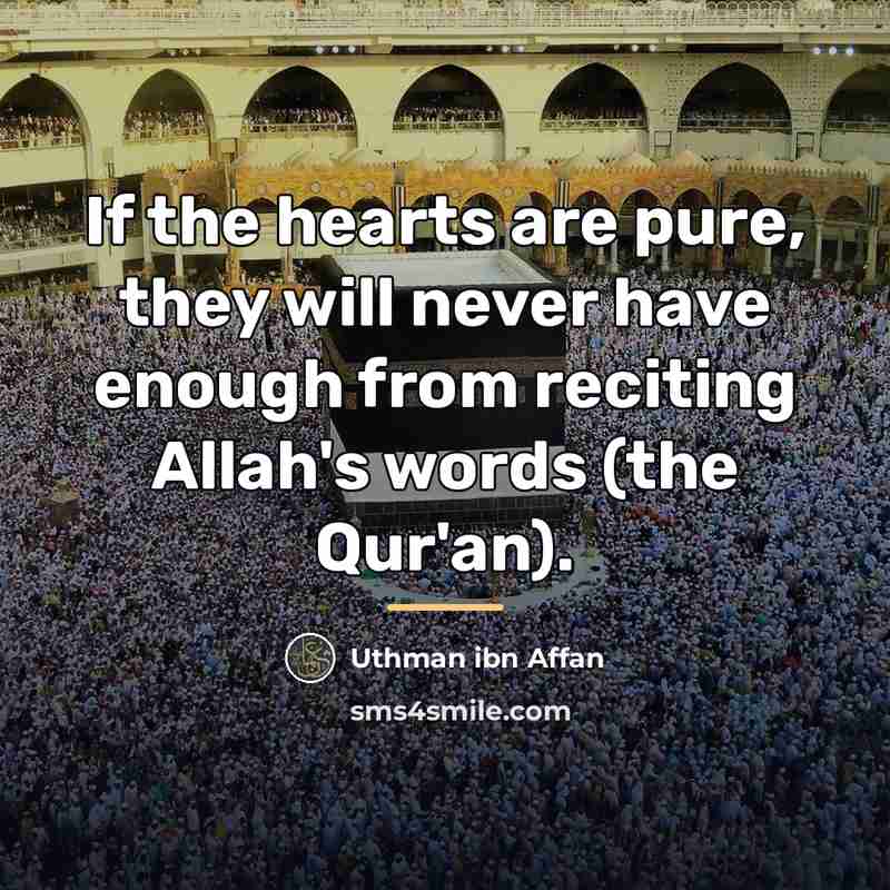 “If the hearts are pure, they will never have enough…” quote by Uthman ibn Affan