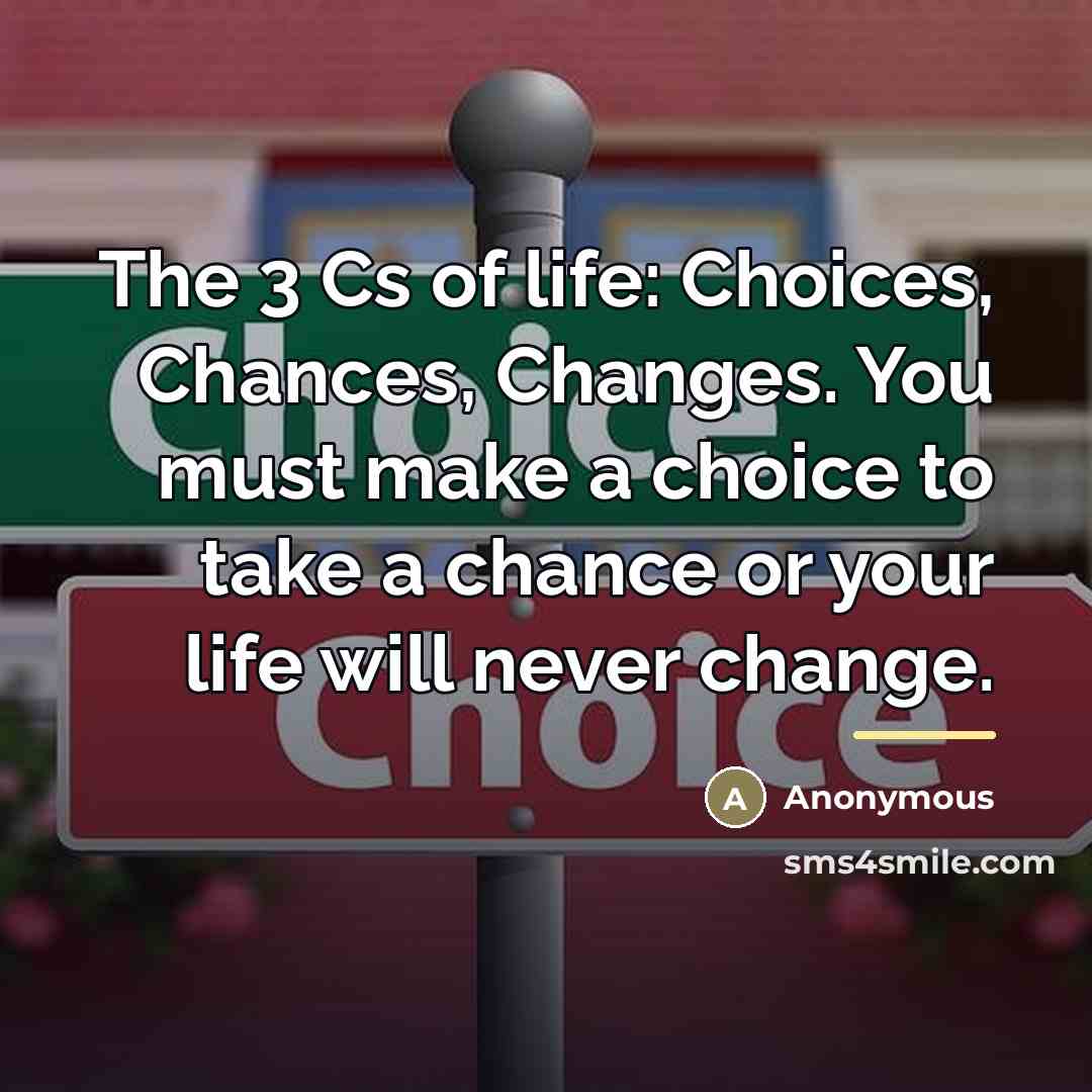 “The 3 Cs of life: Choices, Chances, Changes. You must…” quote by Anonymous