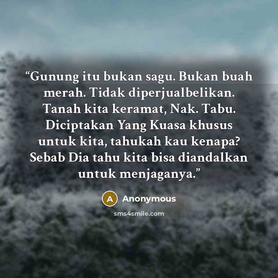“Gunung itu bukan sagu. Bukan buah merah. Tidak diperjualbelikan. Tanah kita keramat, Nak. Tabu. Diciptakan Yang Kuasa khusus untuk kita, tahukah kau kenapa? Sebab Dia tahu kita bisa diandalkan untuk menjaganya.” quote by Anonymous
