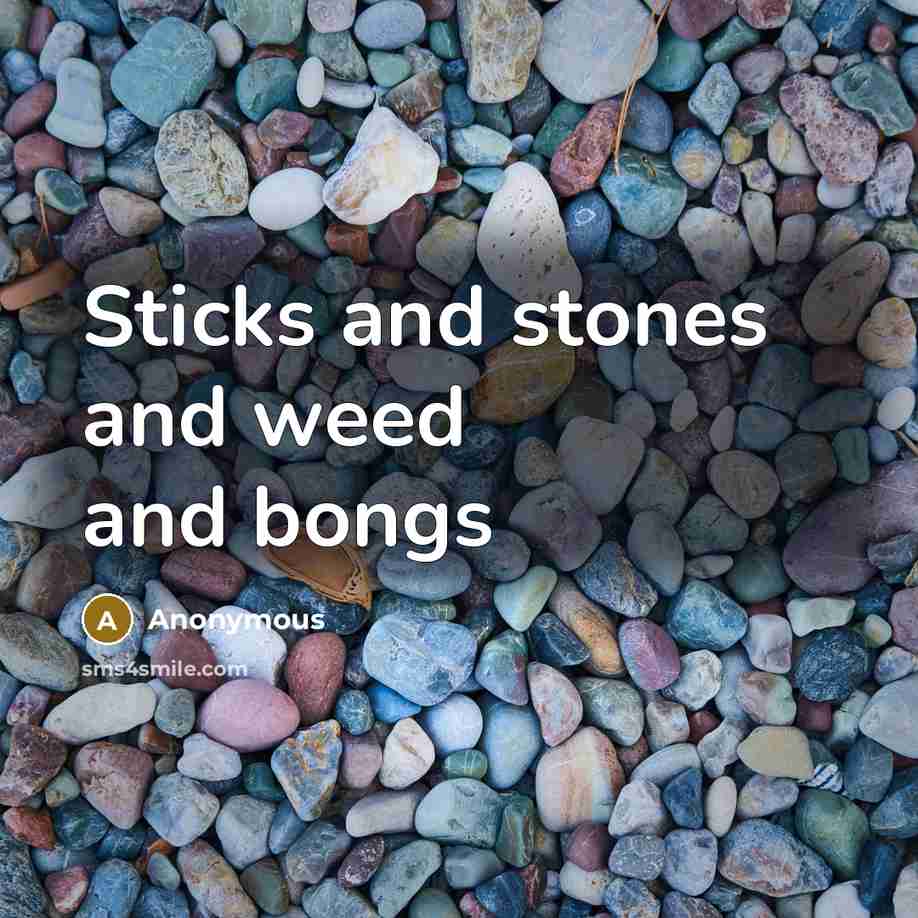 “Sticks and stones and weed and bongs…” quote by Anonymous