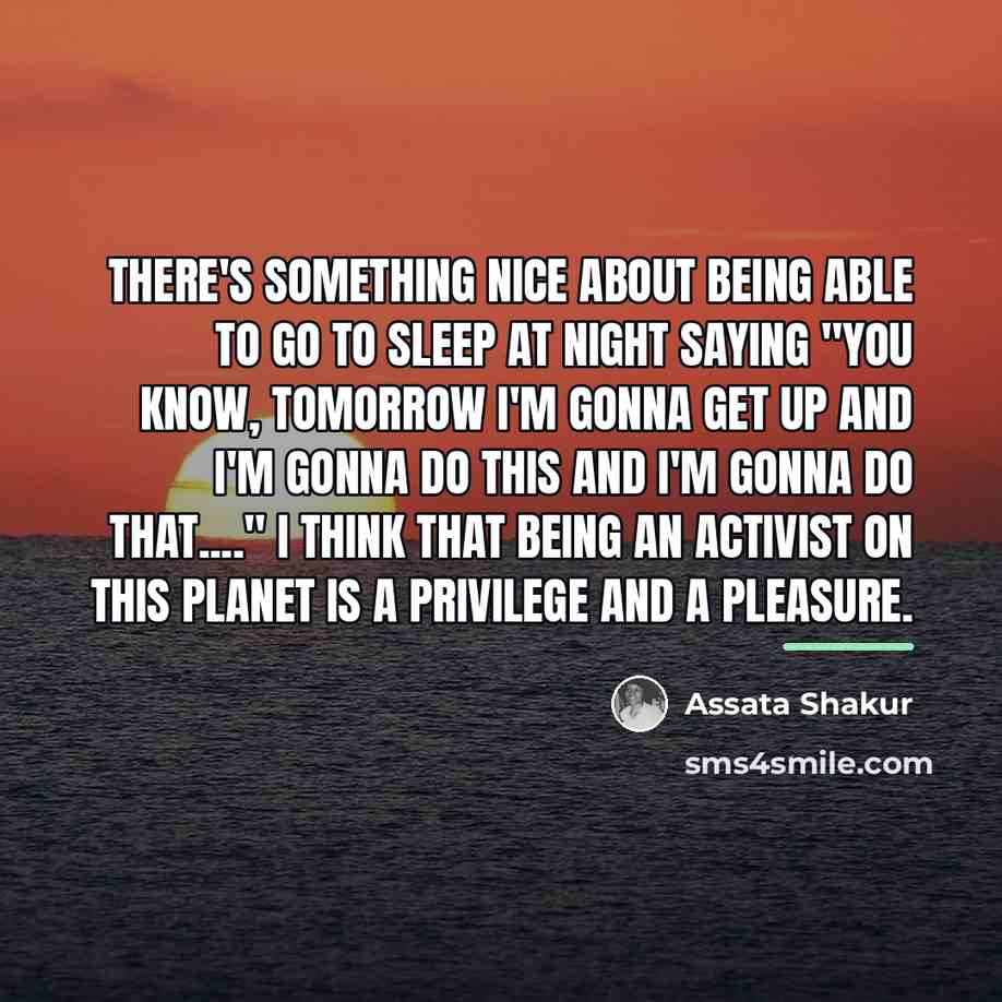 “There's something nice about being able to go to sleep…” quote by Assata Shakur