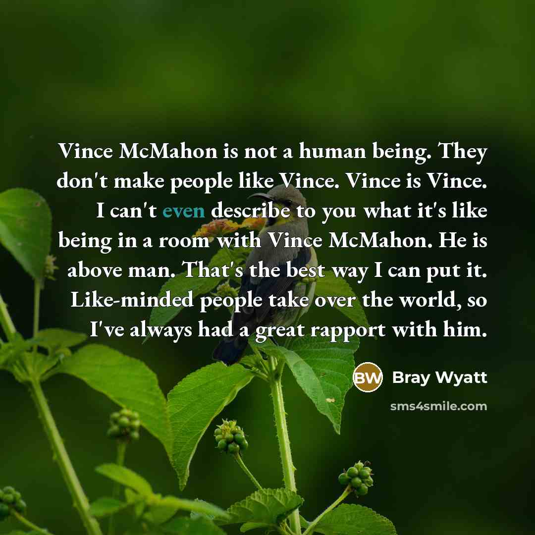 “Vince McMahon is not a human being. They don't make…” quote by Bray Wyatt