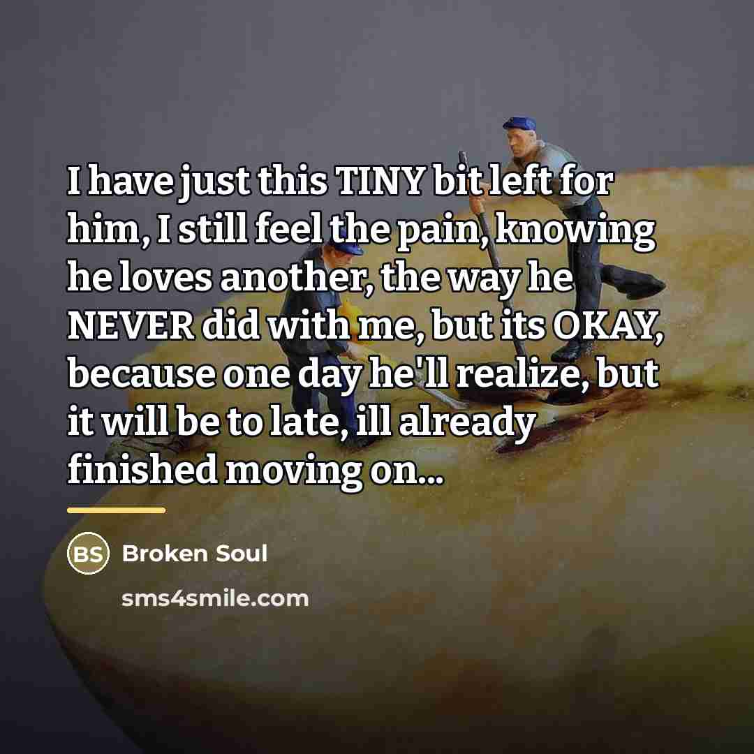 “I have just this TINY bit left for him, I…” quote by Broken Soul