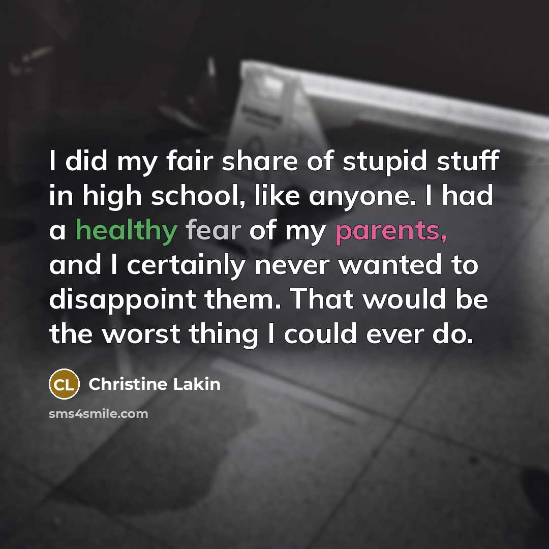 “I did my fair share of stupid stuff in high…” quote by Christine Lakin
