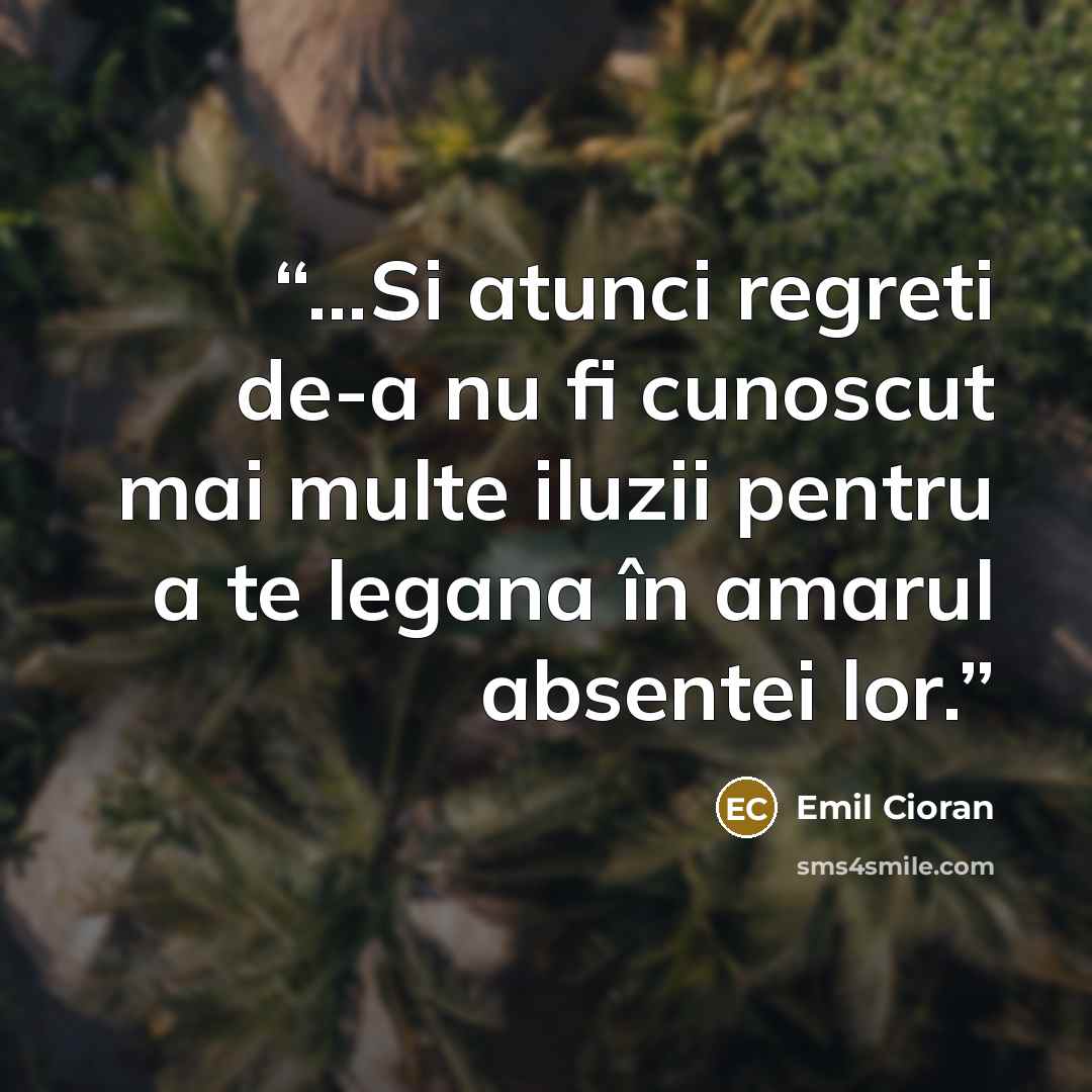 “...Si atunci regreti de-a nu fi cunoscut mai multe iluzii pentru a te legana în amarul absentei lor.” quote by Emil Cioran