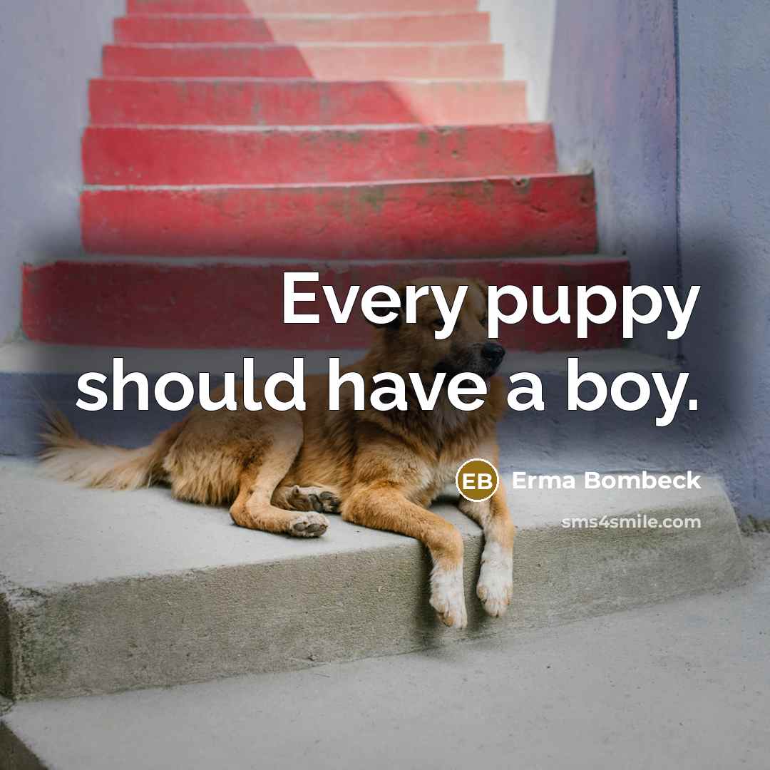 “Every puppy should have a boy.…” quote by Erma Bombeck