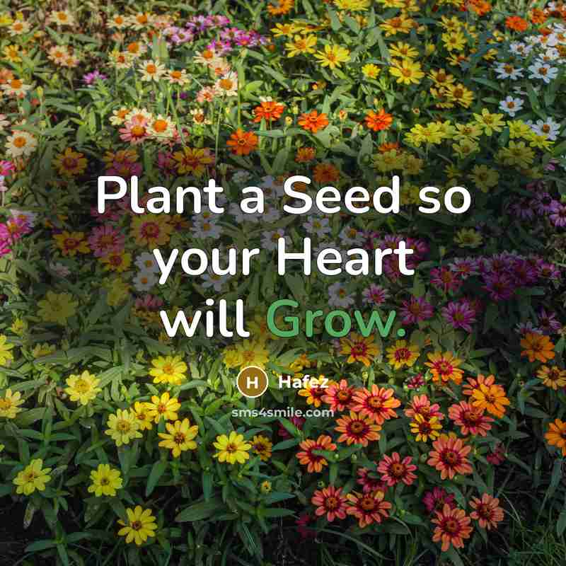 “Plant a Seed so your Heart will Grow.…” quote by Hafez