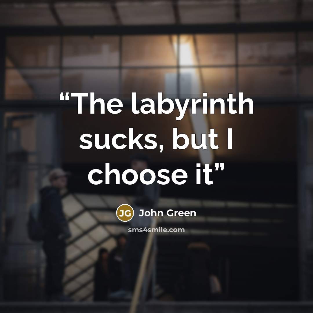 “The labyrinth sucks, but I choose it” quote by John Green