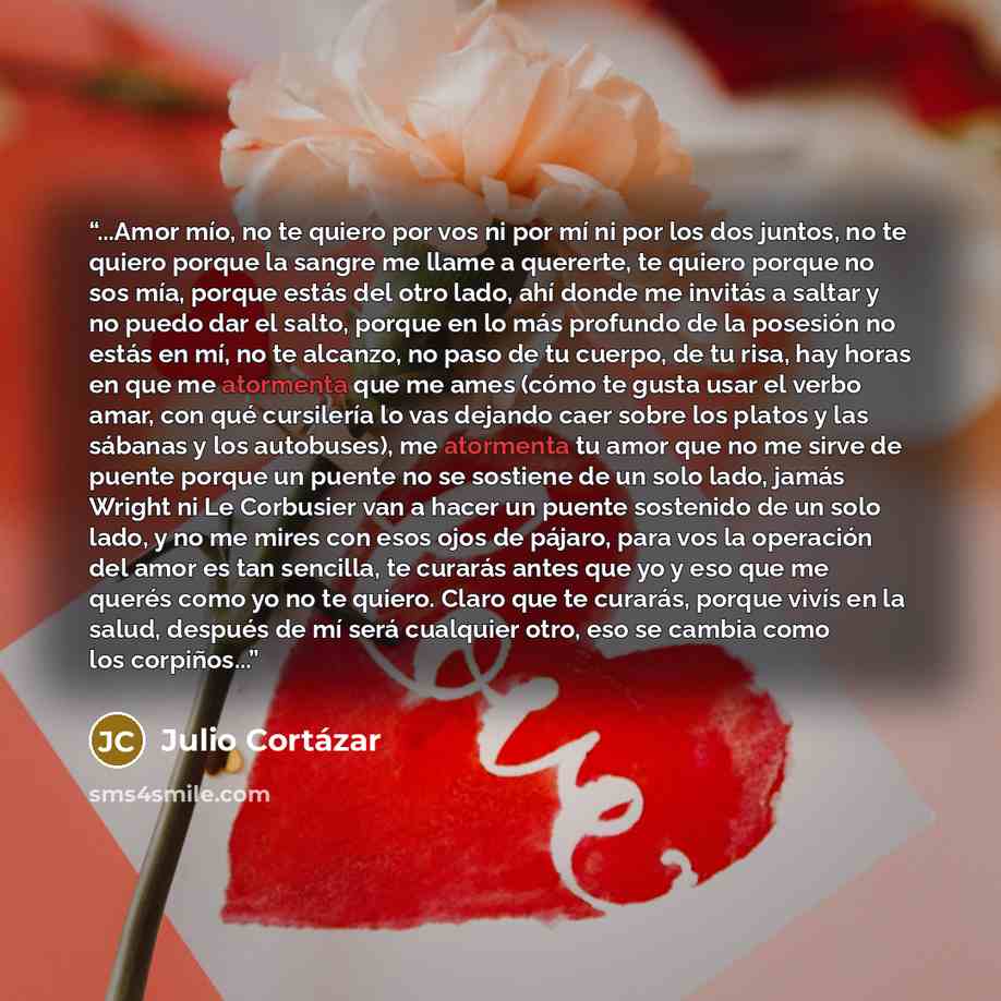 “...Amor mío, no te quiero por vos ni por mí ni por los dos juntos, no te quiero porque la sangre me llame a quererte, te quiero porque no sos mía, porque estás del otro lado, ahí donde me invitás a saltar y no puedo dar el salto, porque en lo más profundo de la posesión no estás en mí, no te…” quote by Julio Cortázar