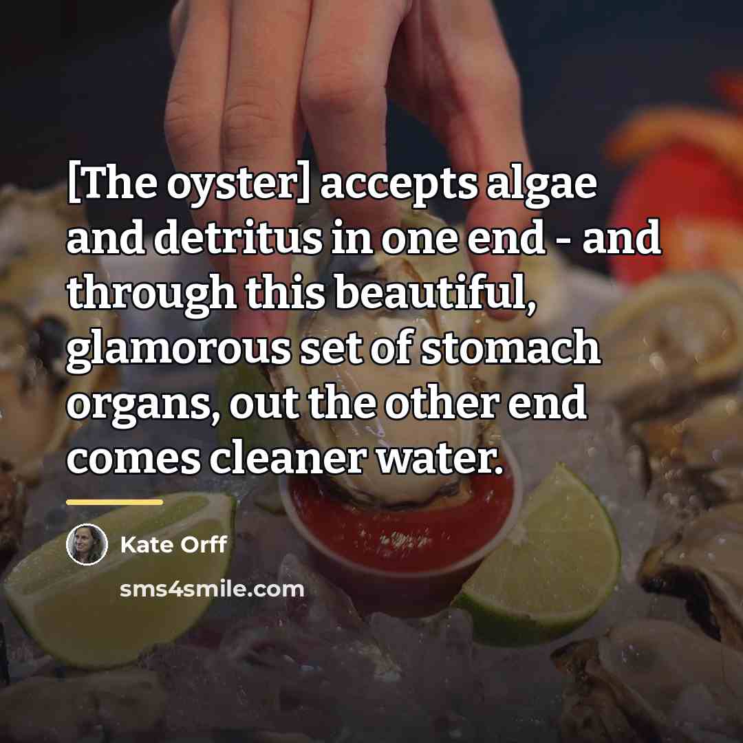 “[The oyster] accepts algae and detritus in one end -…” quote by Kate Orff