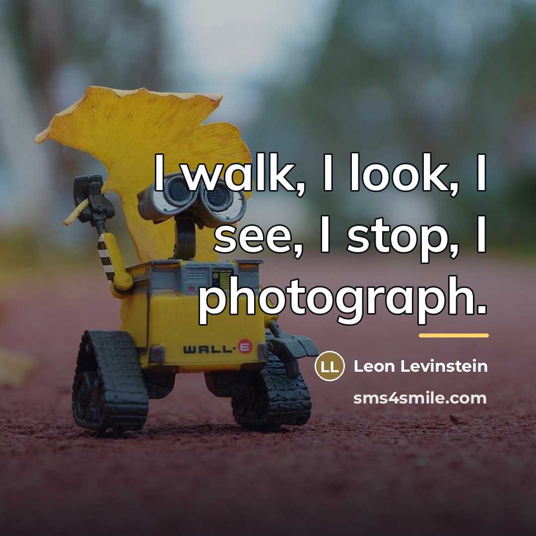 “I walk, I look, I see, I stop, I photograph.…” quote by Leon Levinstein
