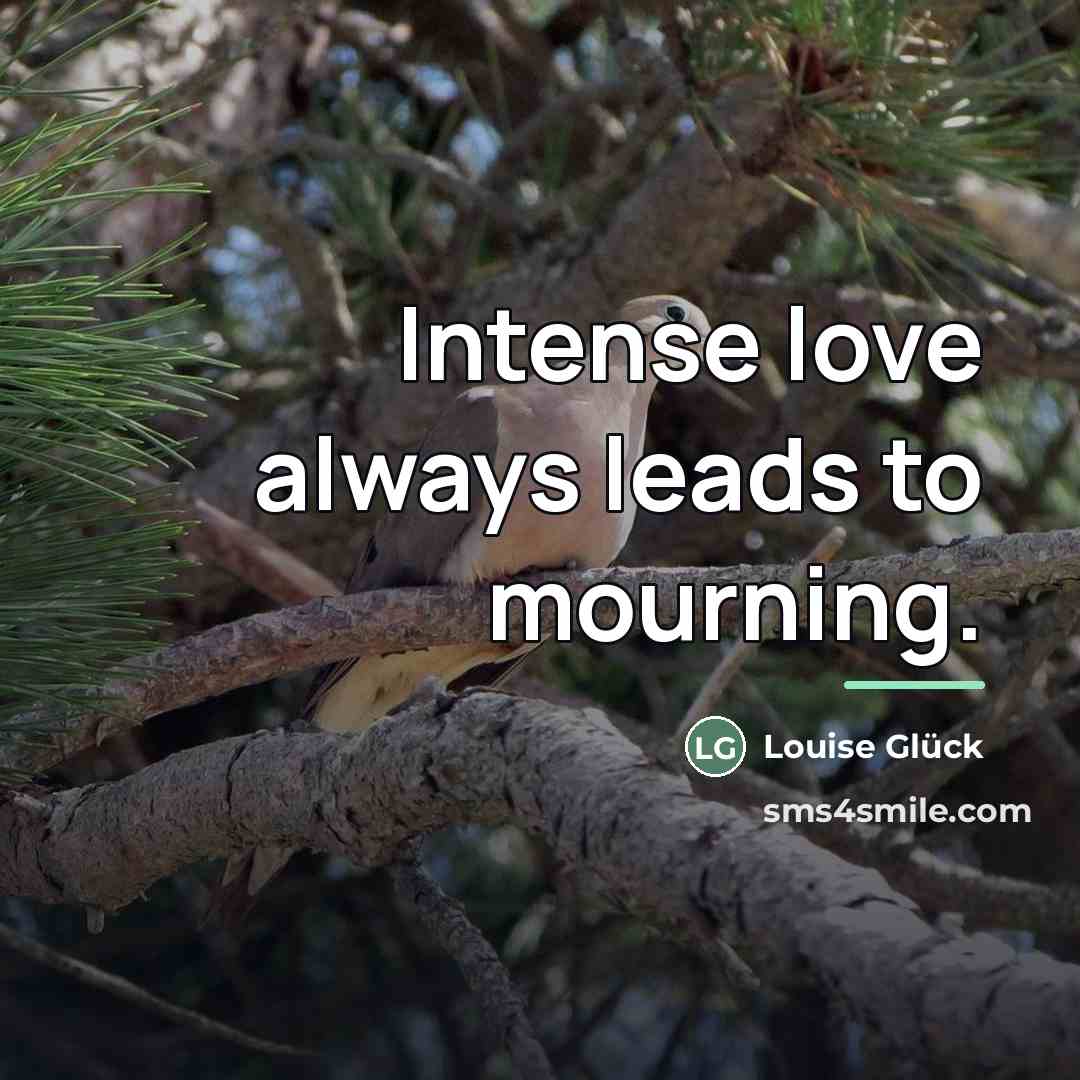 “Intense love always leads to mourning.…” quote by Louise Glück