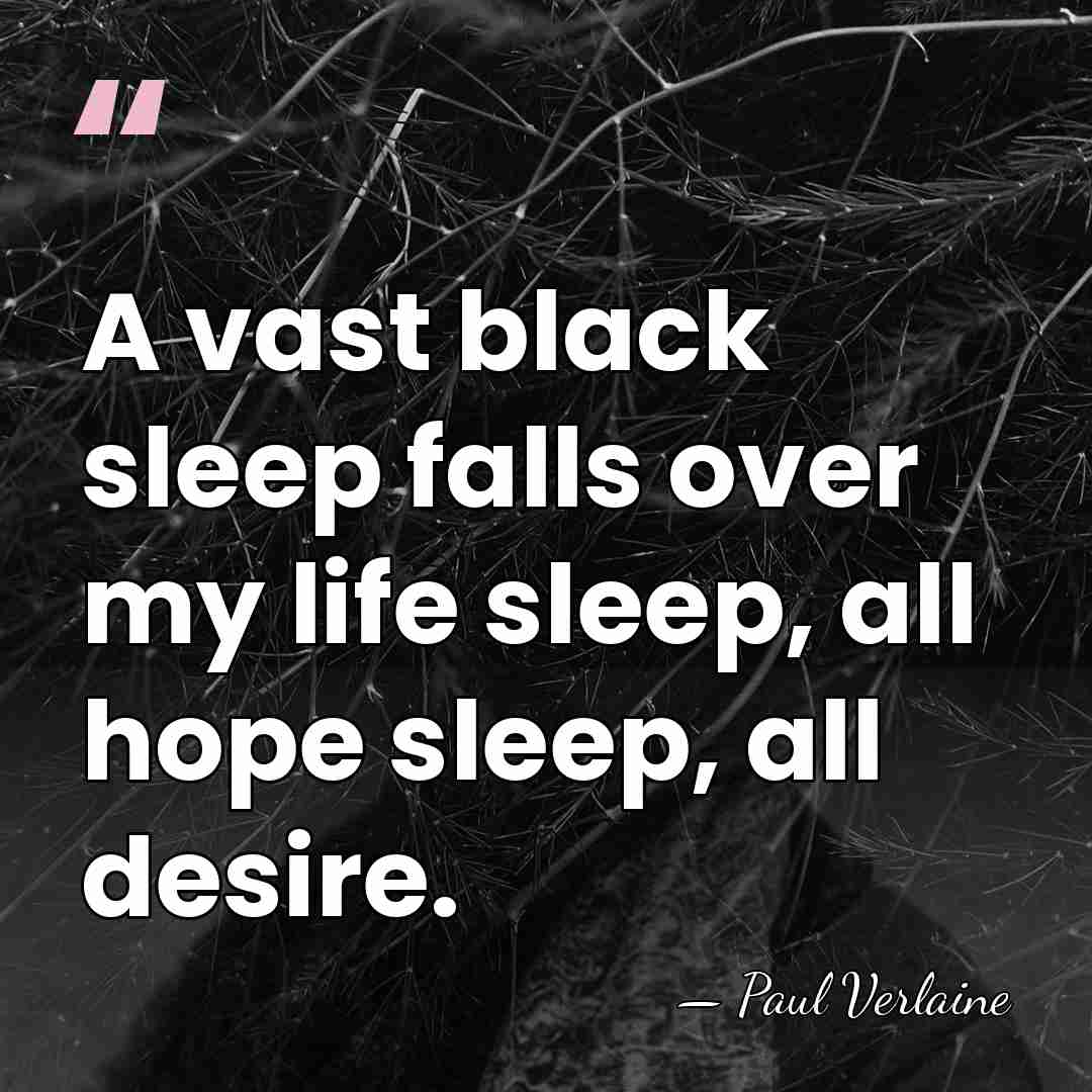 A vast black sleep falls over my life sleep, all hope sleep,&hellip; - Paul Verlaine