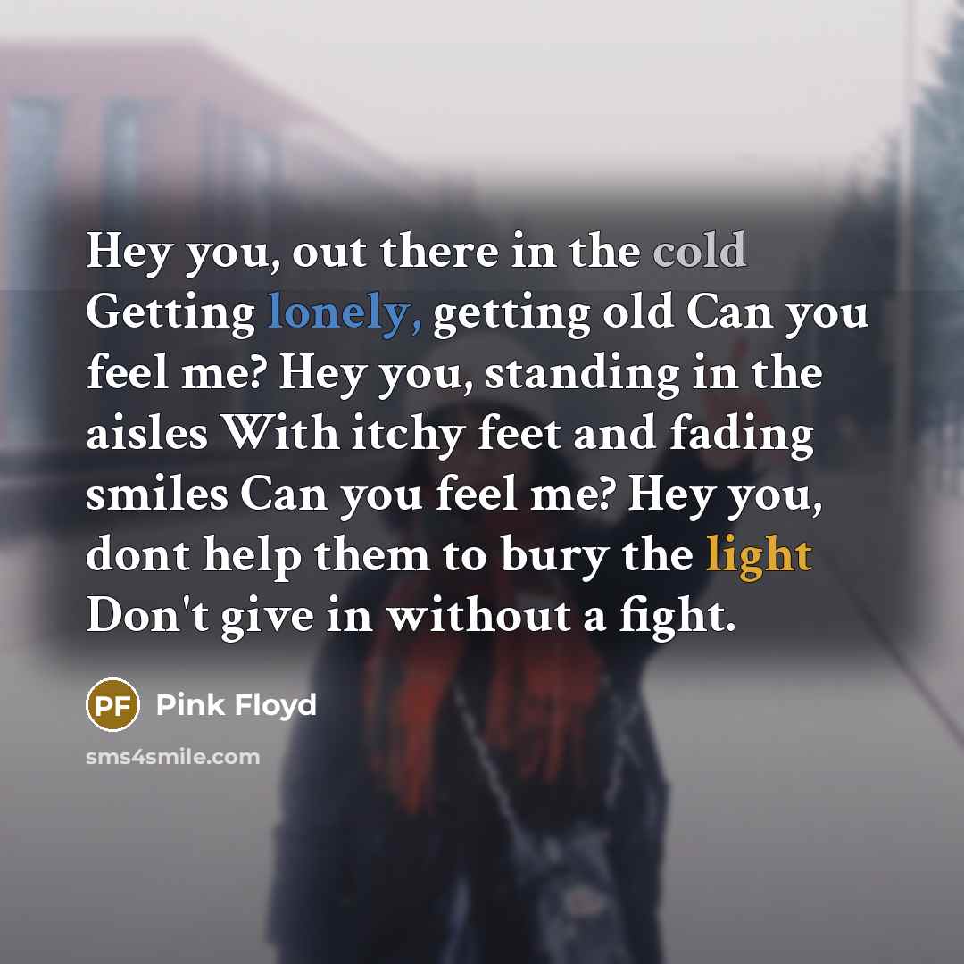 “Hey you, out there in the cold Getting lonely, getting old Can you feel me? Hey you, standing in the aisles With itchy feet and fading smiles Can you feel me? Hey you, dont help them to bury the light Don't give in without a fight.” quote by Pink Floyd