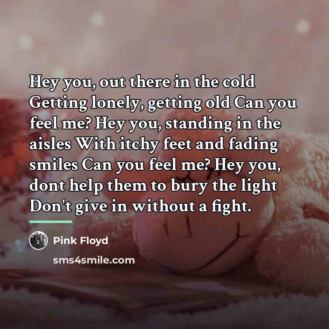 “Hey you, out there in the cold Getting lonely, getting…” quote by Pink Floyd