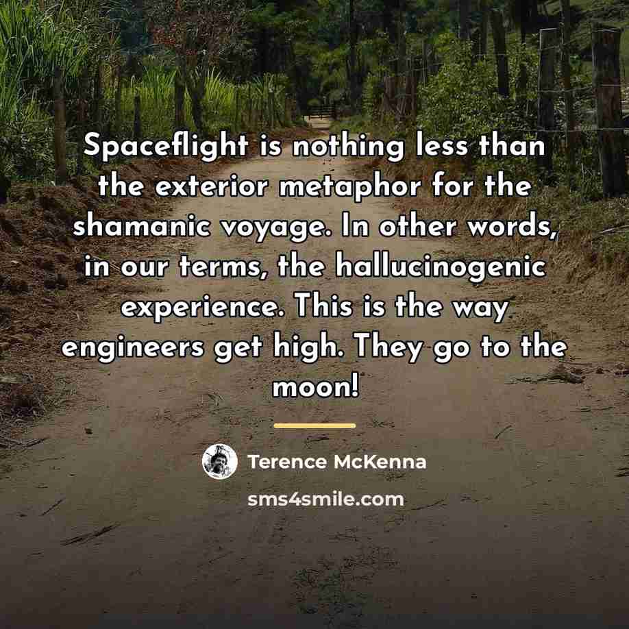 “Spaceflight is nothing less than the exterior metaphor for the…” quote by Terence McKenna