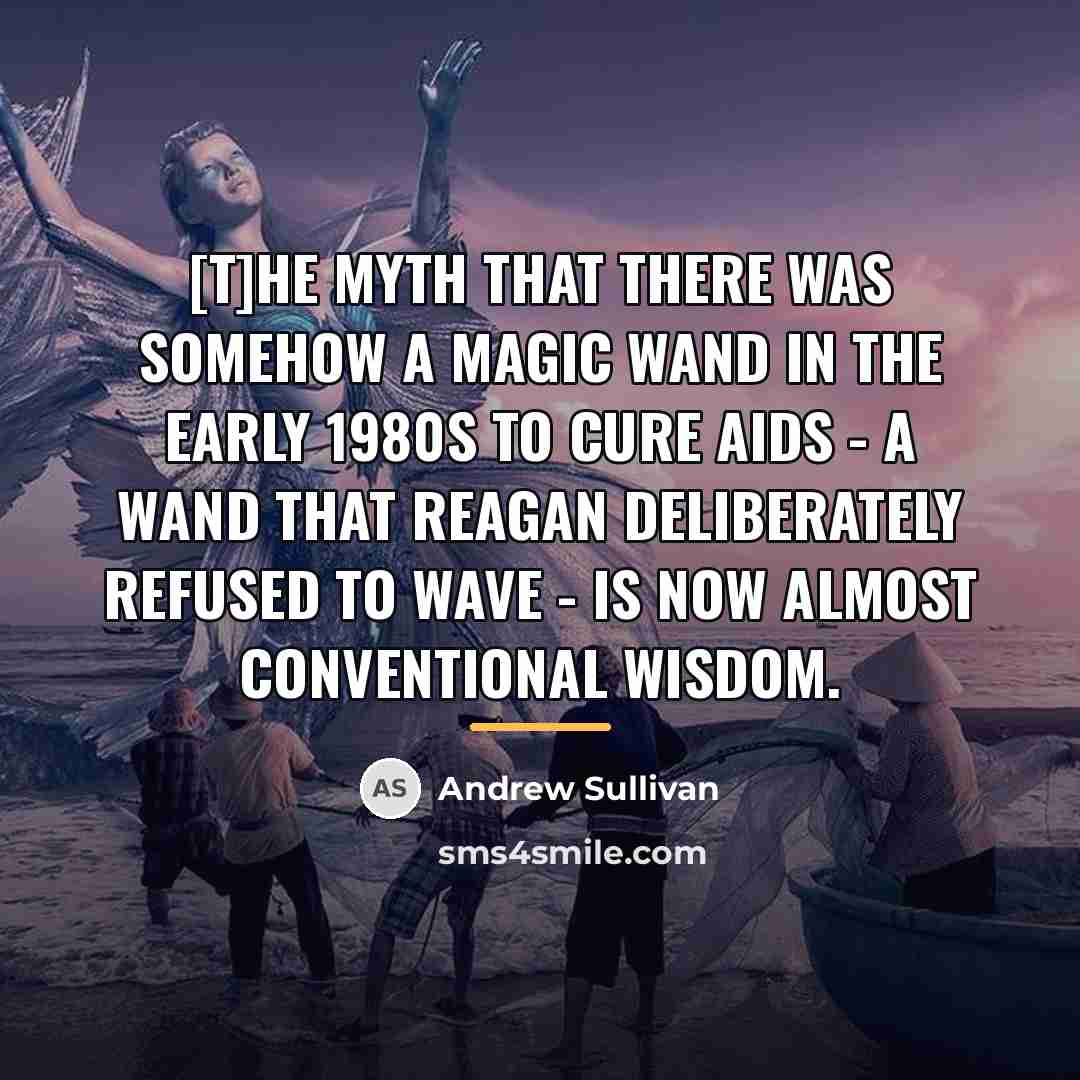 “[T]he myth that there was somehow a magic wand in…” quote by Andrew Sullivan
