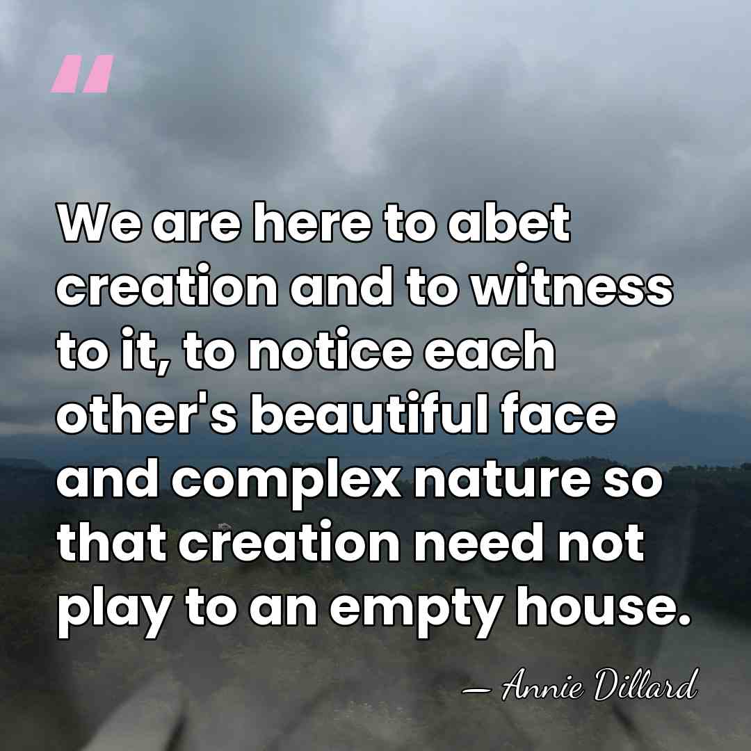 We are here to abet creation and to witness to it, to&hellip; - Annie Dillard