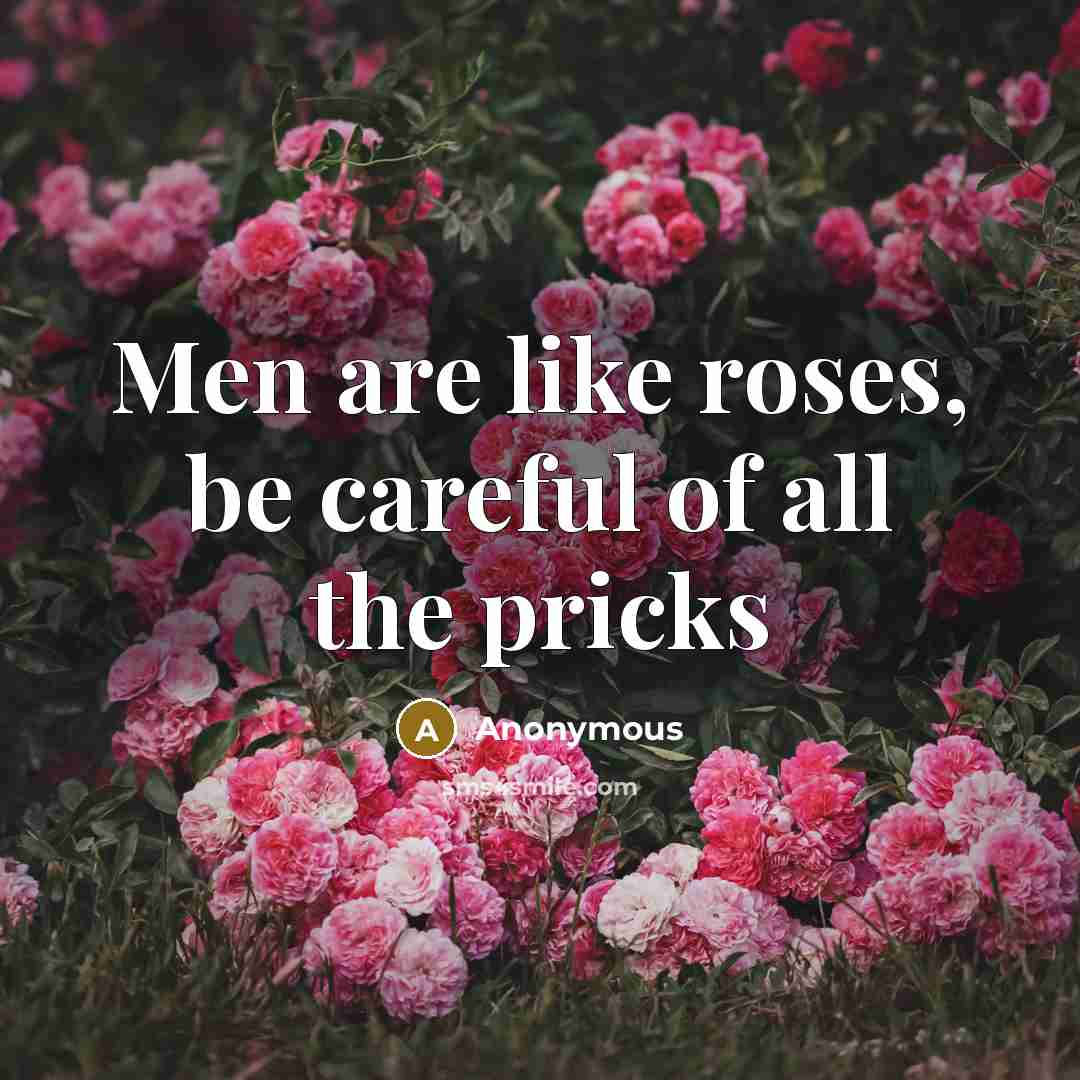 “Men are like roses, be careful of all the pricks…” quote by Anonymous
