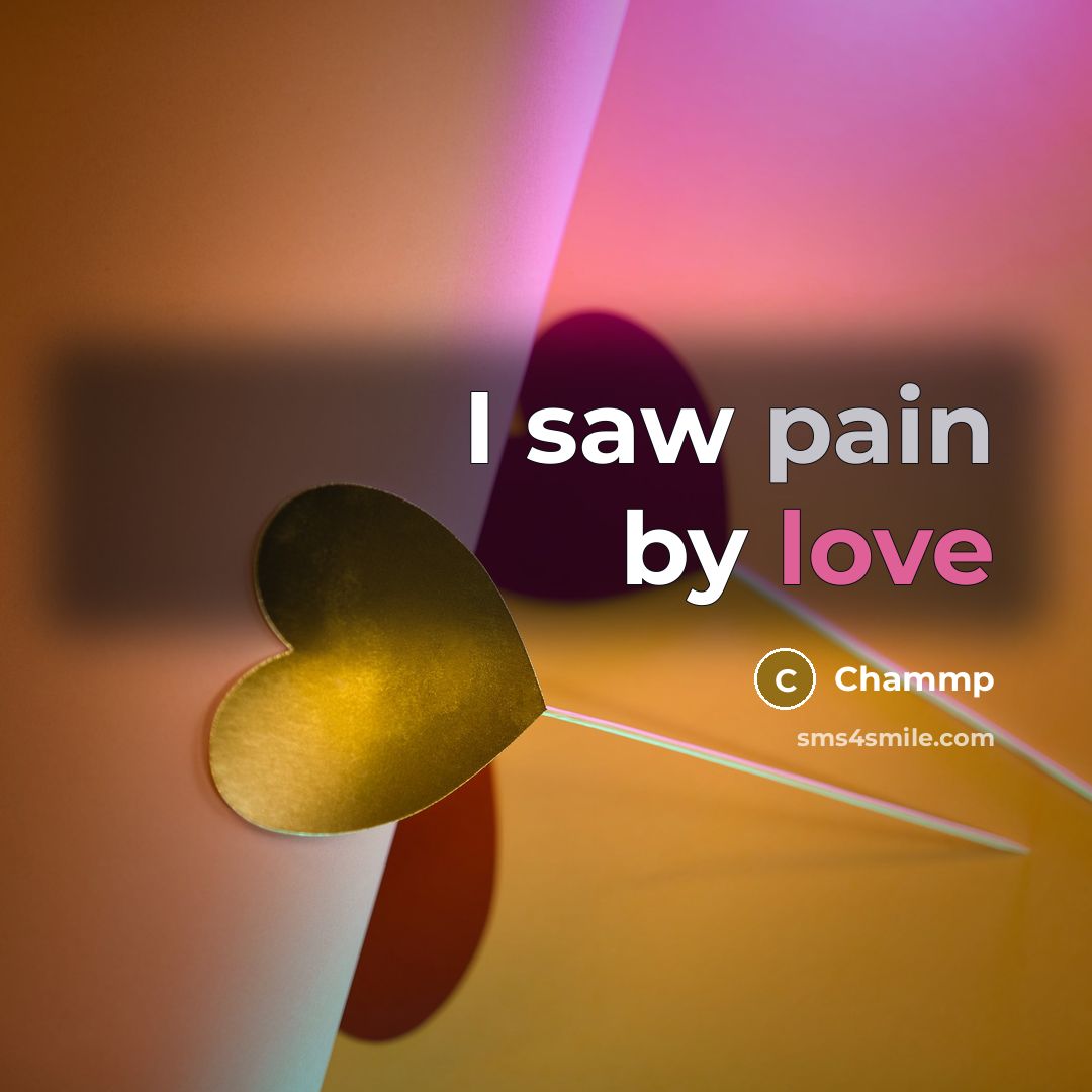 “I saw pain by love” quote by Chammp