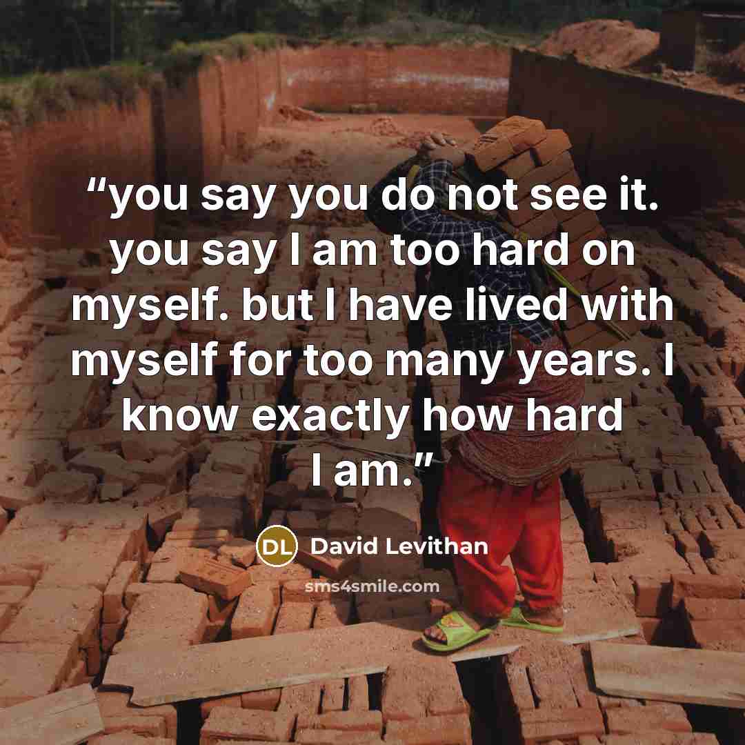 “you say you do not see it. you say I am too hard on myself. but I have lived with myself for too many years. I know exactly how hard I am.” quote by David Levithan