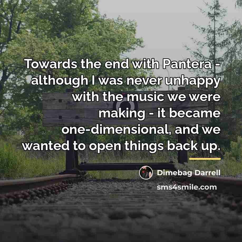 “Towards the end with Pantera - although I was never…” quote by Dimebag Darrell
