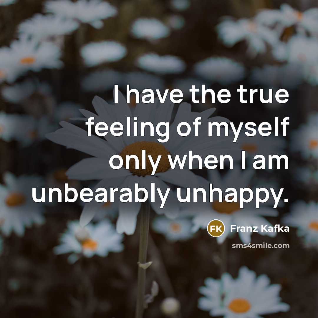 “I have the true feeling of myself only when I…” quote by Franz Kafka