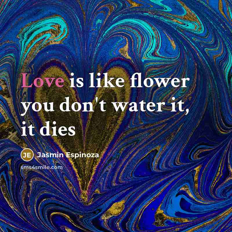 “Love is like flower you don't water it, it dies…” quote by Jasmin Espinoza