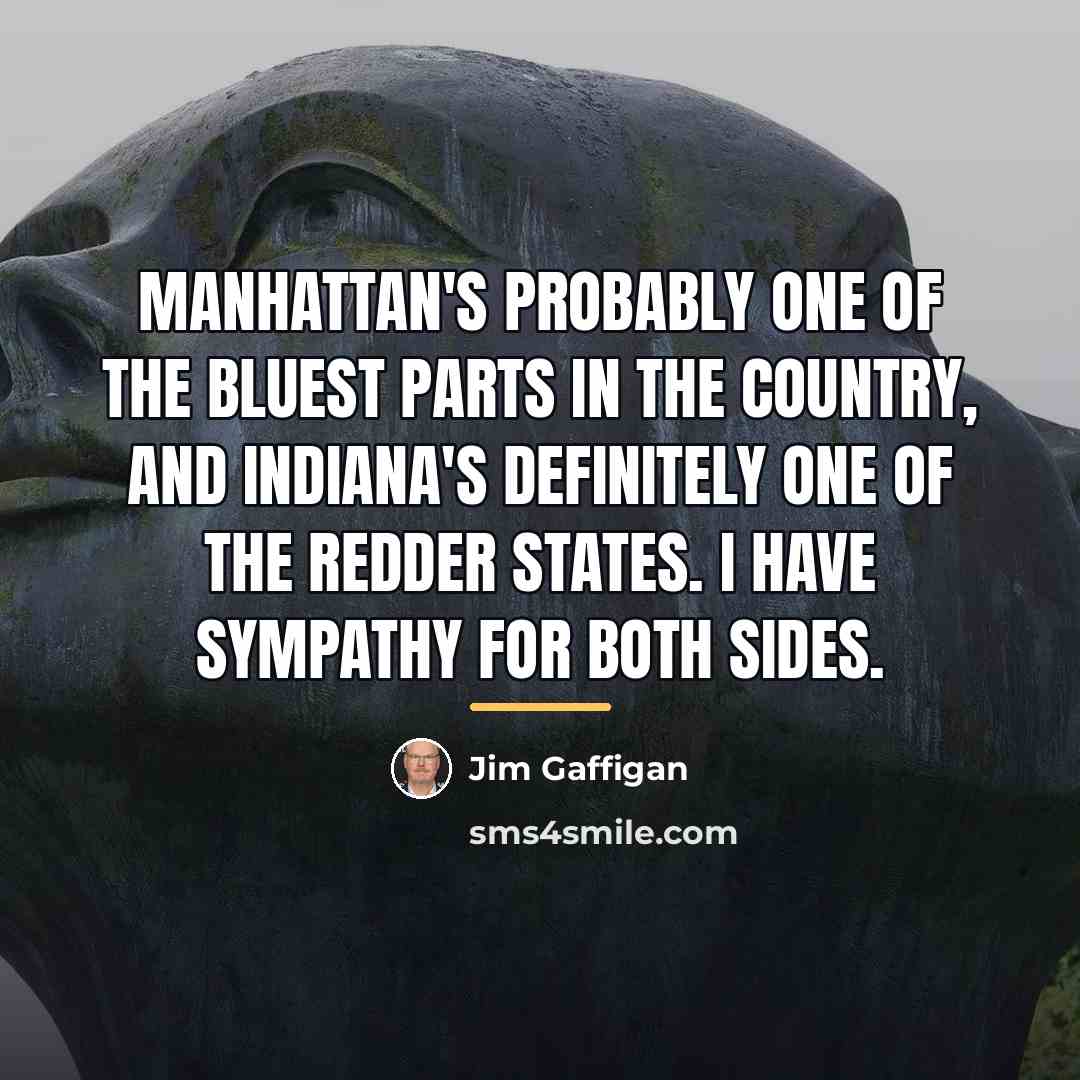 “Manhattan's probably one of the bluest parts in the country,…” quote by Jim Gaffigan