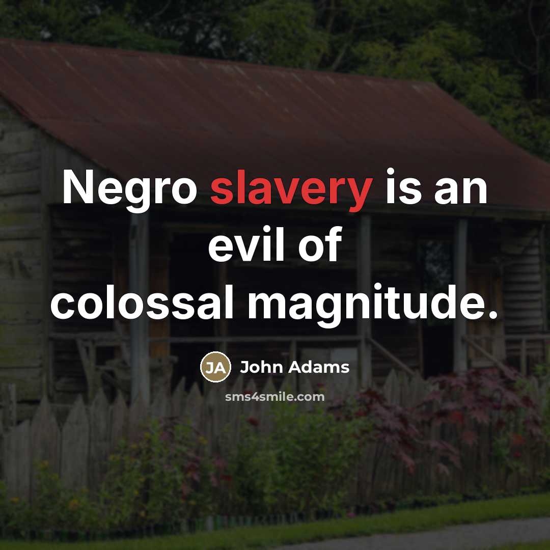 “Negro slavery is an evil of colossal magnitude.…” quote by John Adams