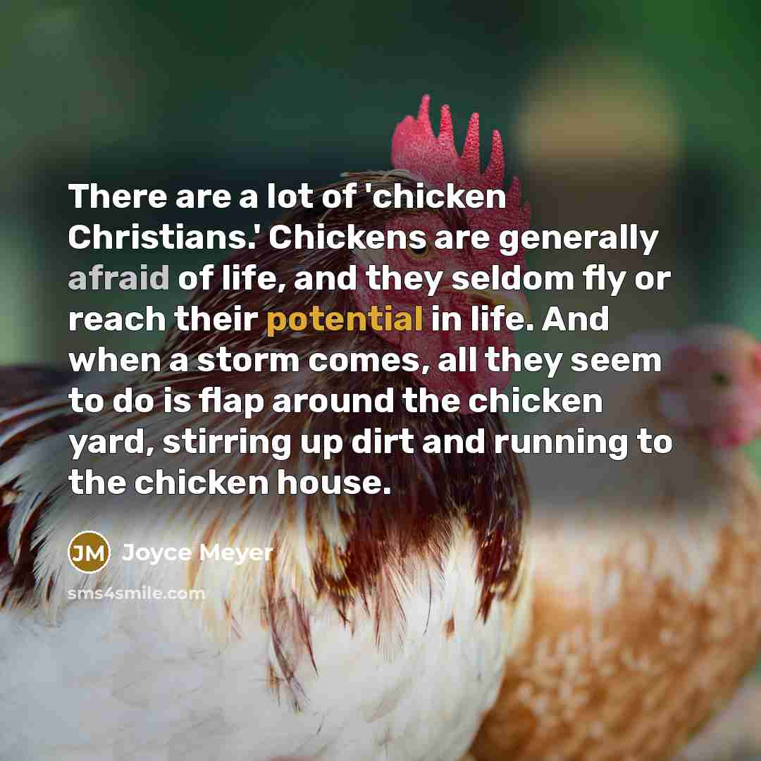 “There are a lot of 'chicken Christians.' Chickens are generally…” quote by Joyce Meyer