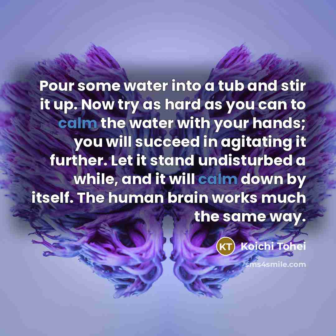 “Pour some water into a tub and stir it up.…” quote by Koichi Tohei