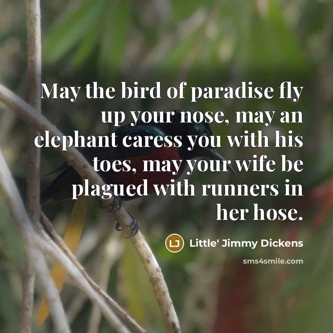 “May the bird of paradise fly up your nose, may…” quote by Little' Jimmy Dickens