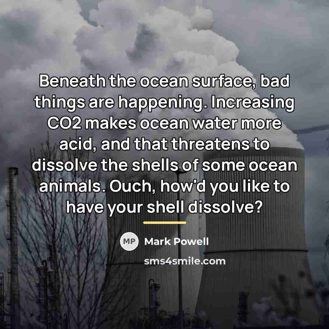 “Beneath the ocean surface, bad things are happening. Increasing CO2…” quote by Mark Powell