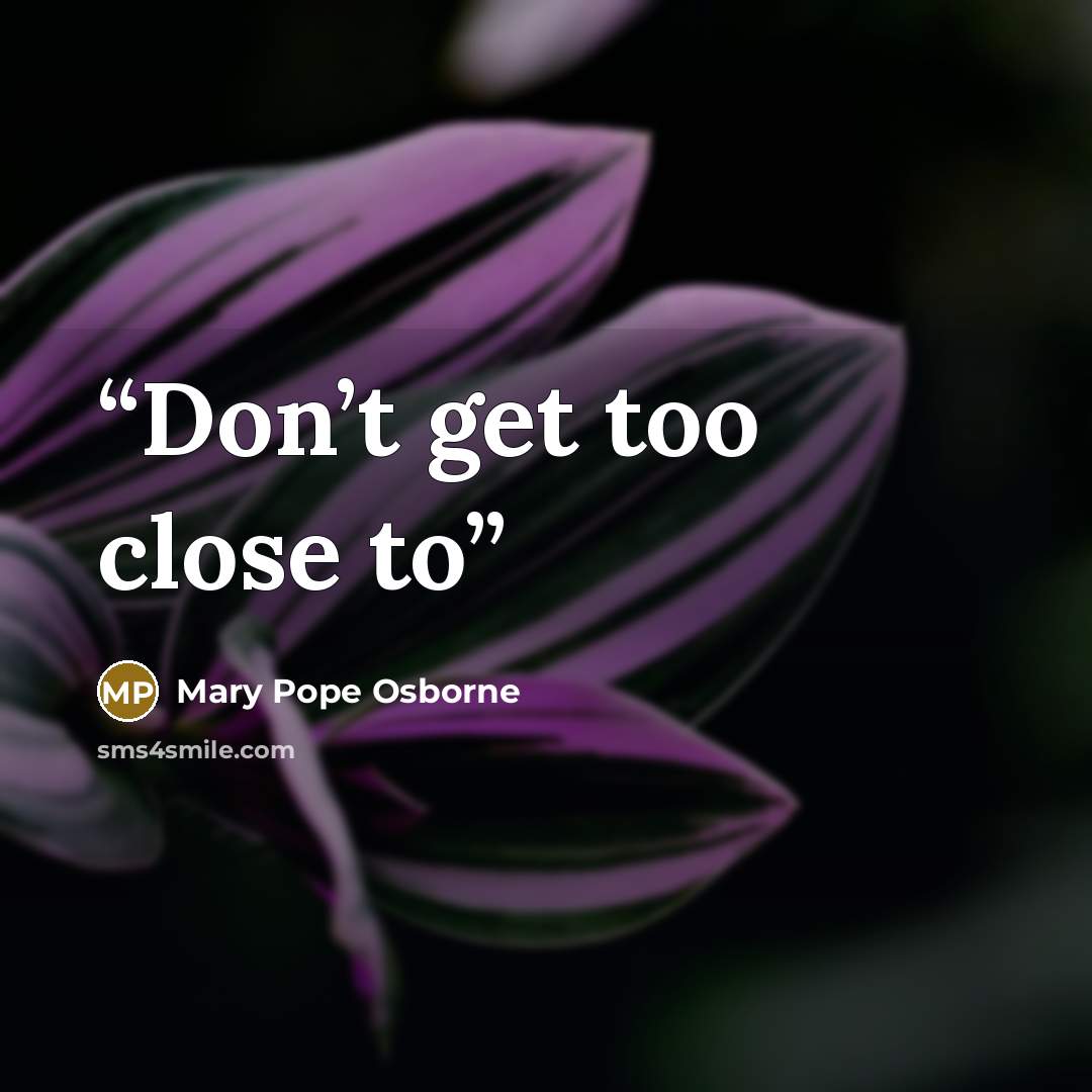 “Don’t get too close to” quote by Mary Pope Osborne