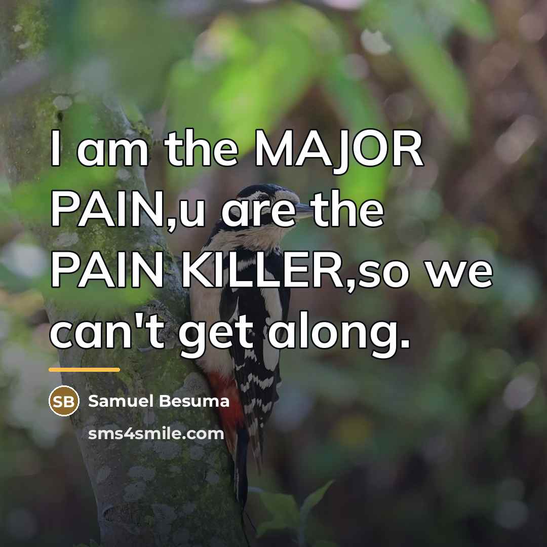 “I am the MAJOR PAIN,u are the PAIN KILLER,so we…” quote by Samuel Besuma