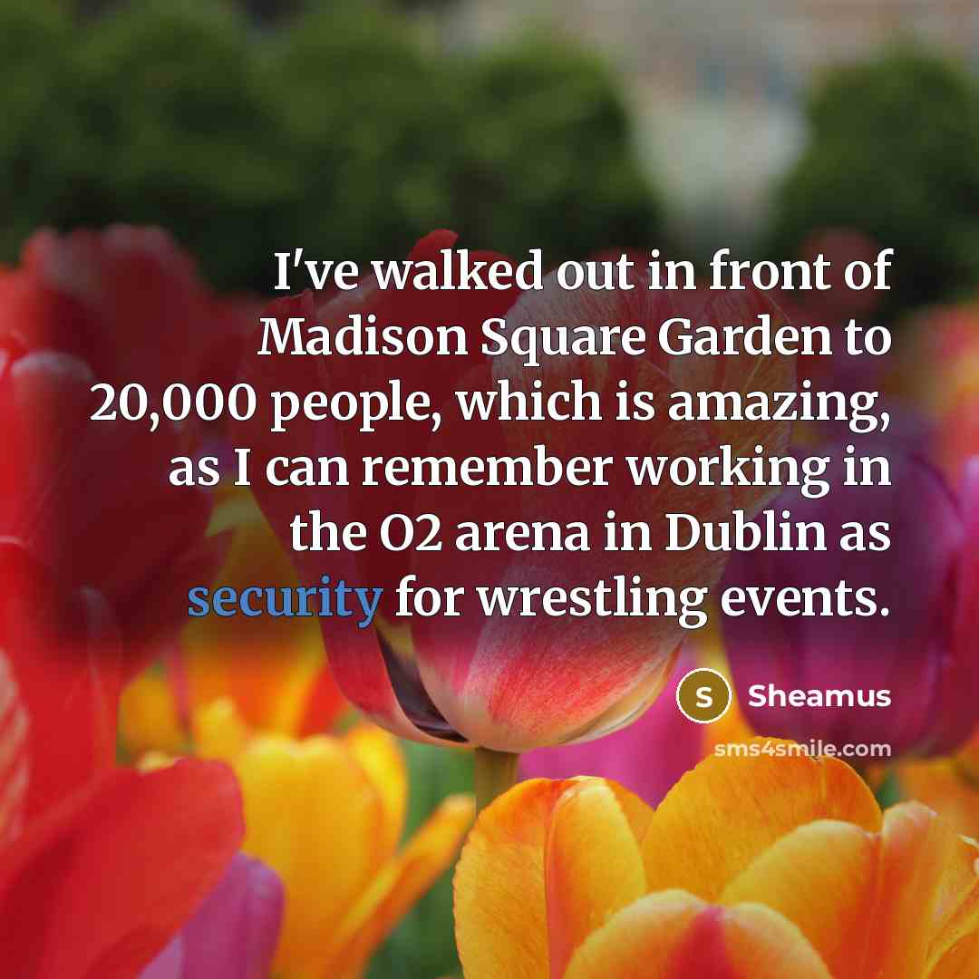 “I've walked out in front of Madison Square Garden to…” quote by Sheamus