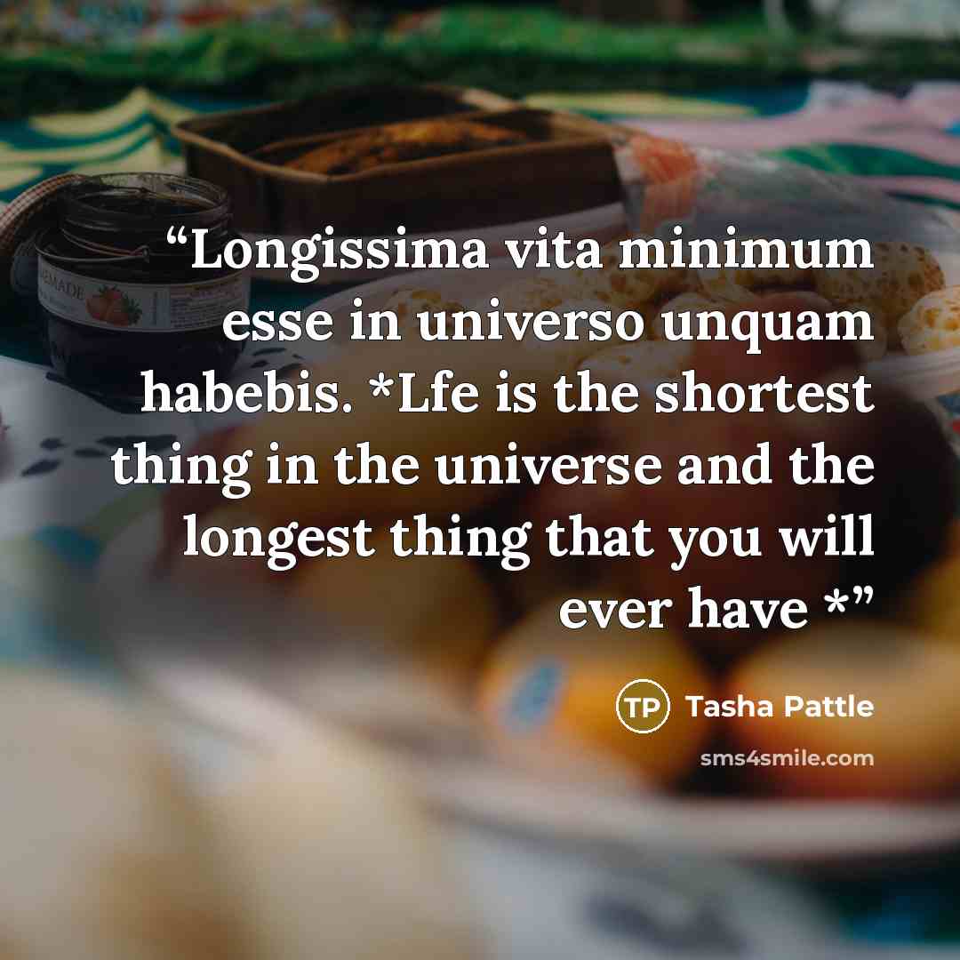 “Longissima vita minimum esse in universo unquam habebis. *Lfe is the shortest thing in the universe and the longest thing that you will ever have *” quote by Tasha Pattle