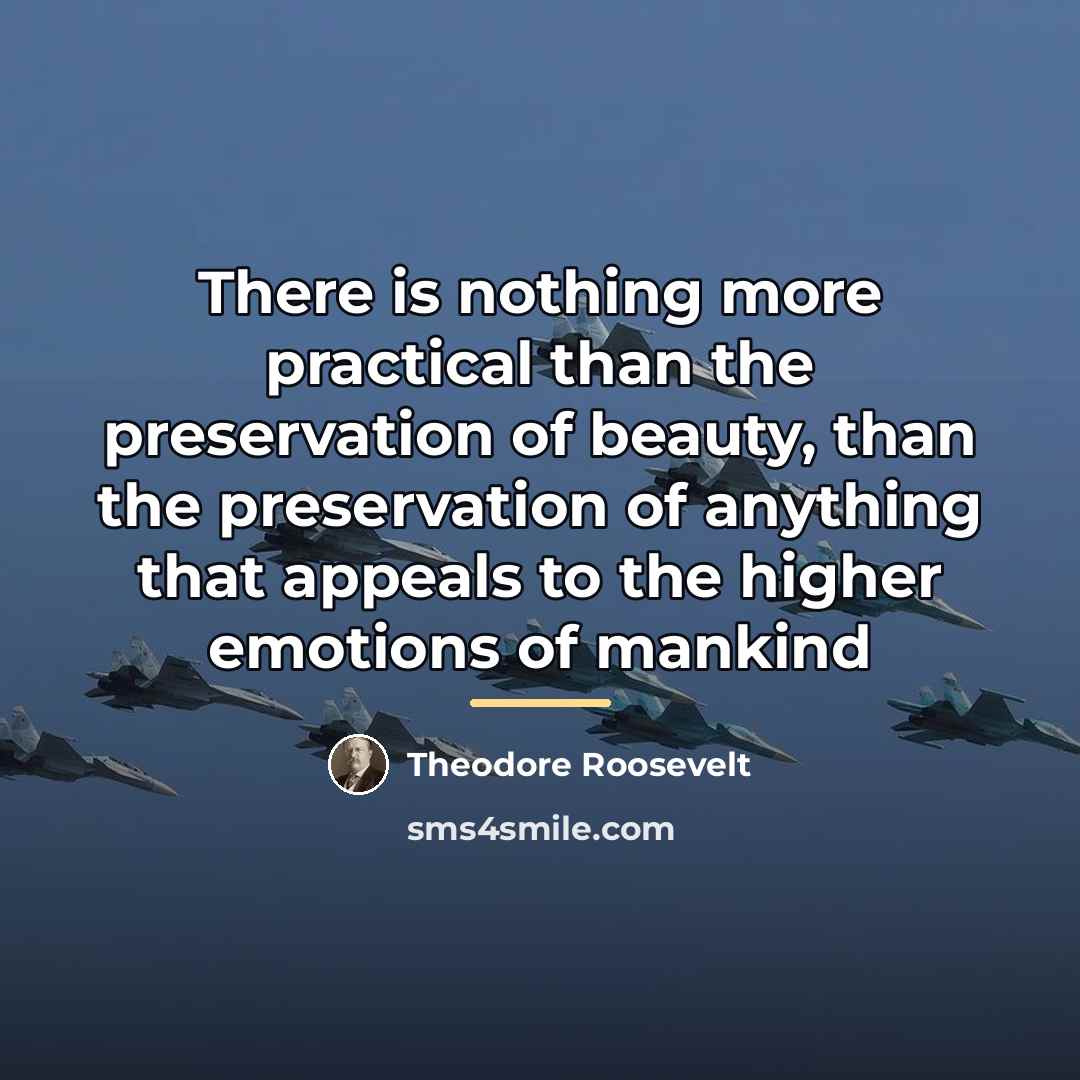 “There is nothing more practical than the preservation of beauty,…” quote by Theodore Roosevelt