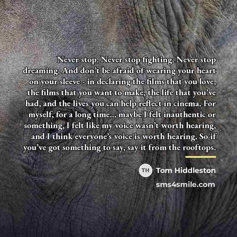 “Never stop. Never stop fighting. Never stop dreaming. And don’t…” quote by Tom Hiddleston