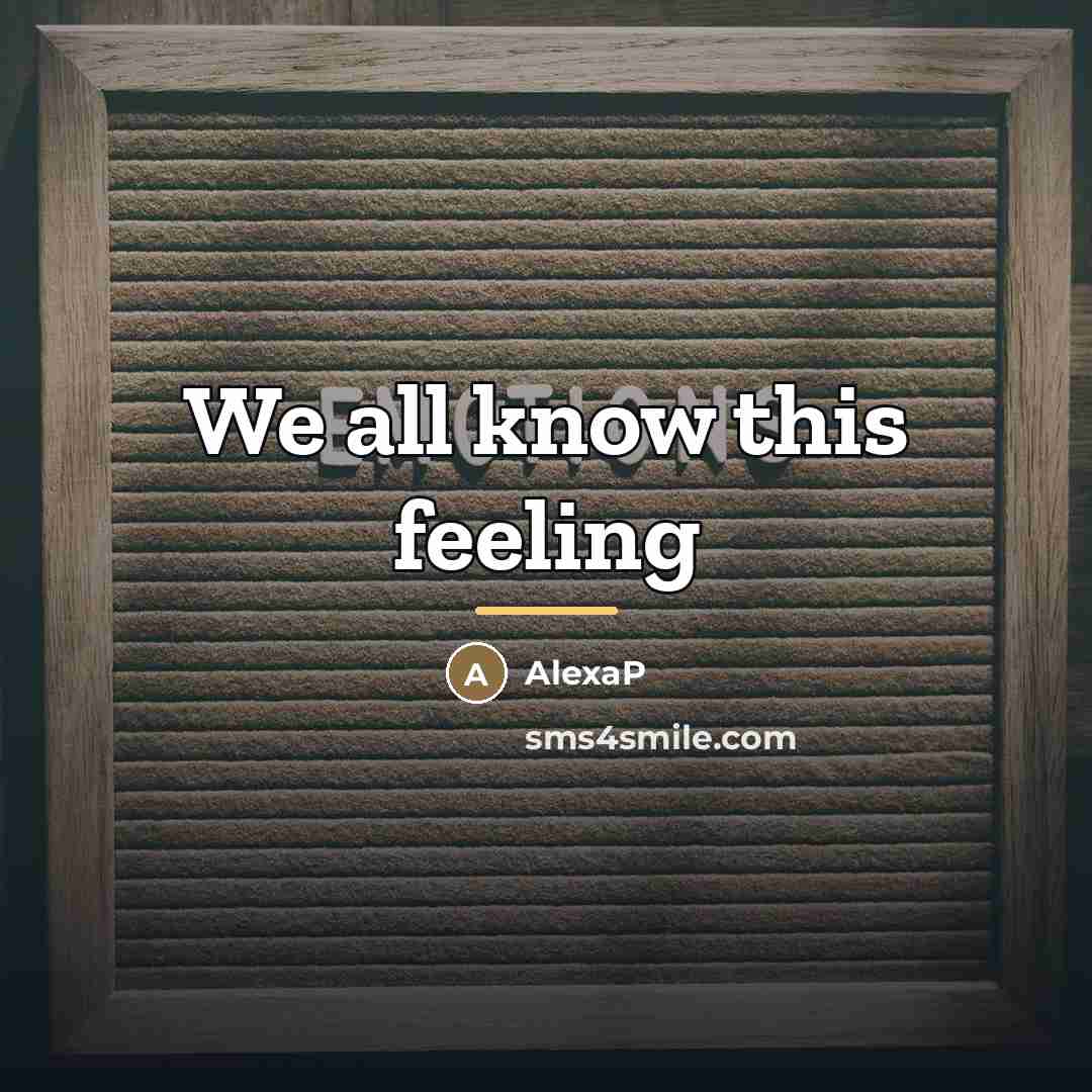 “We all know this feeling…” quote by AlexaP
