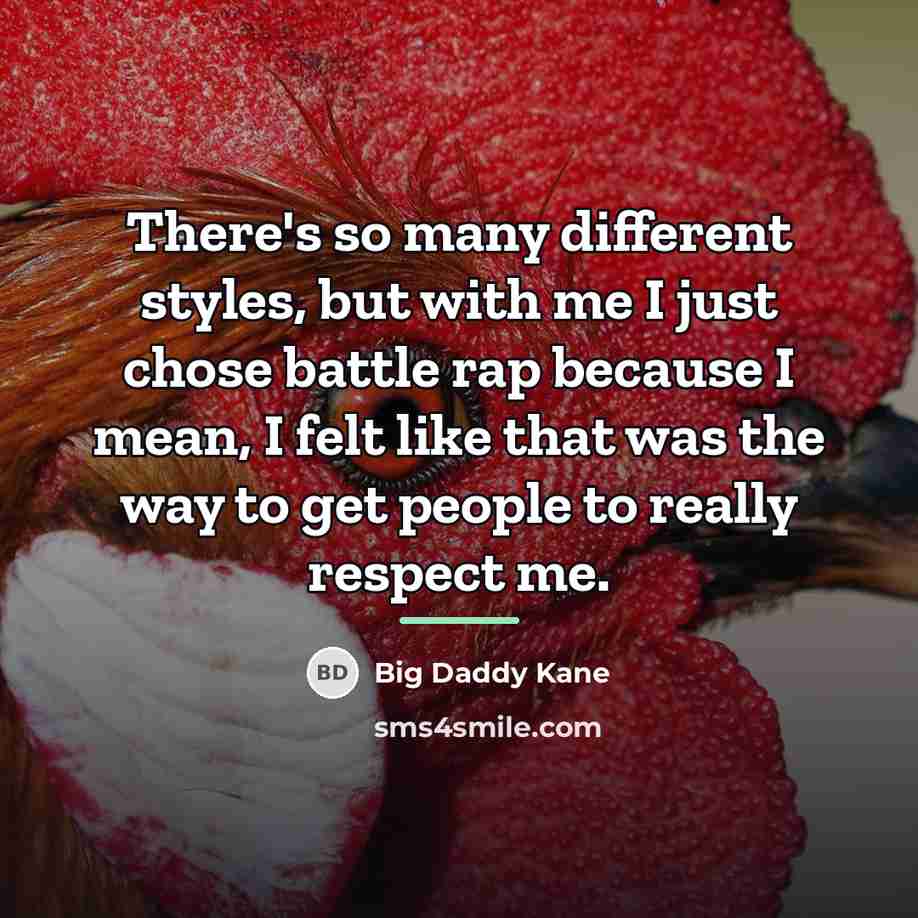 “There's so many different styles, but with me I just…” quote by Big Daddy Kane